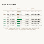 經典禮盒(聖誕節腰封)－洗手露300ml&護手霜50g