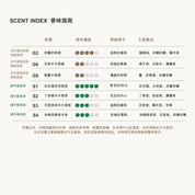 PEACE禮物袋組合－洗手露300ml&護手霜50g
