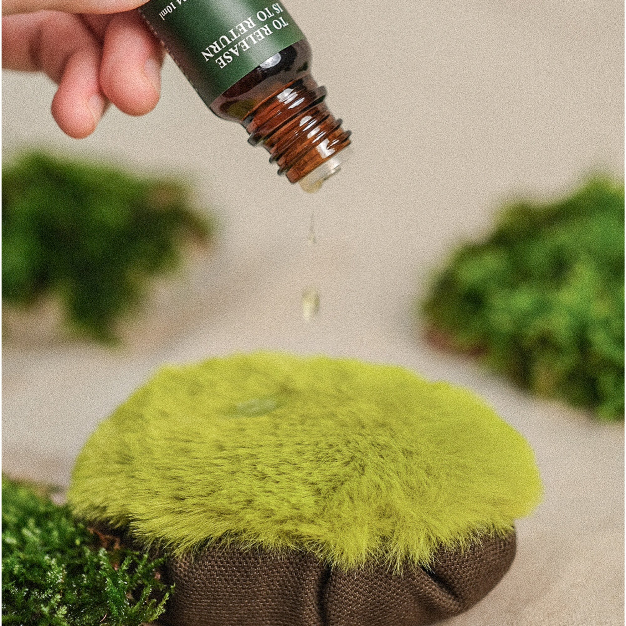 苔蘚之道 The Way of Moss － 精油與布苔球禮盒