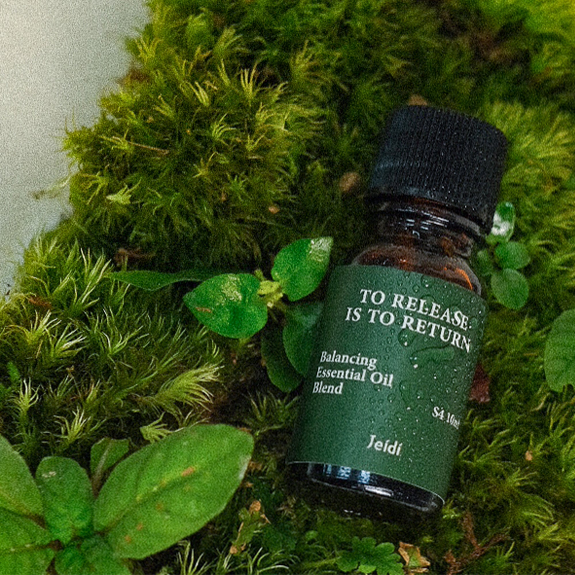 苔蘚之道 The Way of Moss － 精油與布苔球禮盒