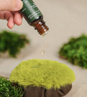 苔蘚之道 The Way of Moss － 精油與布苔球禮盒