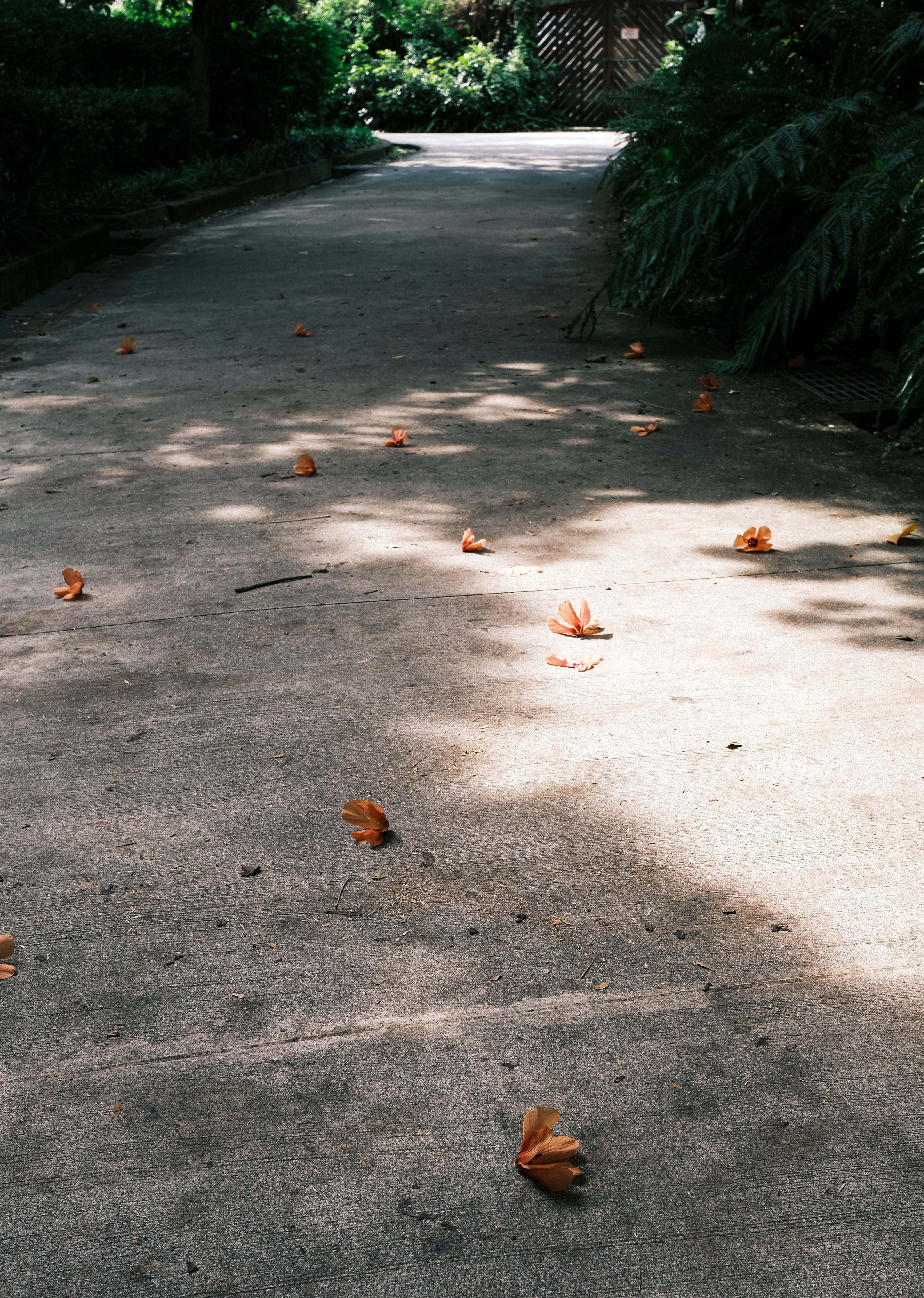 DSCF6309-2.jpg