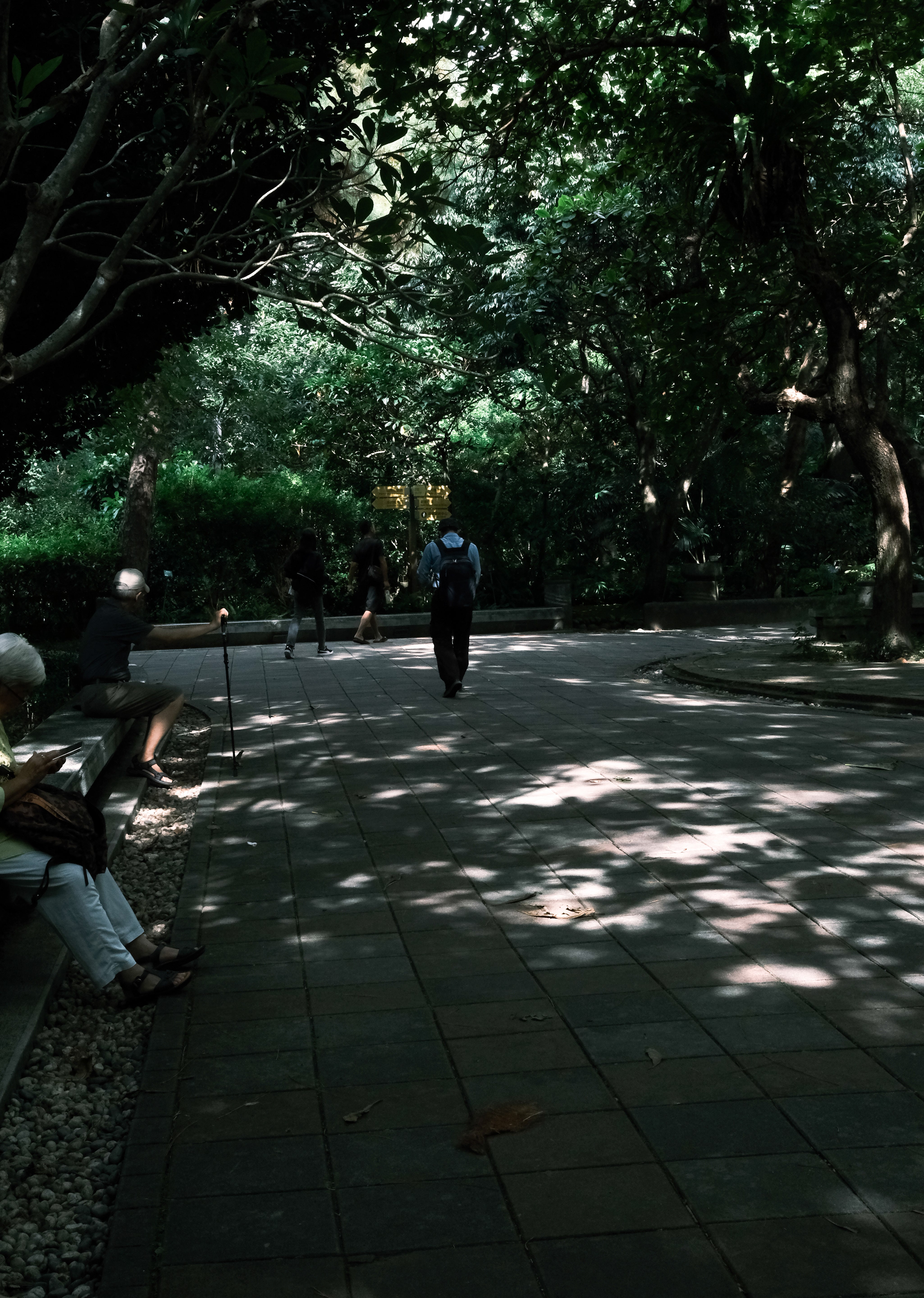 DSCF6323-2.jpg
